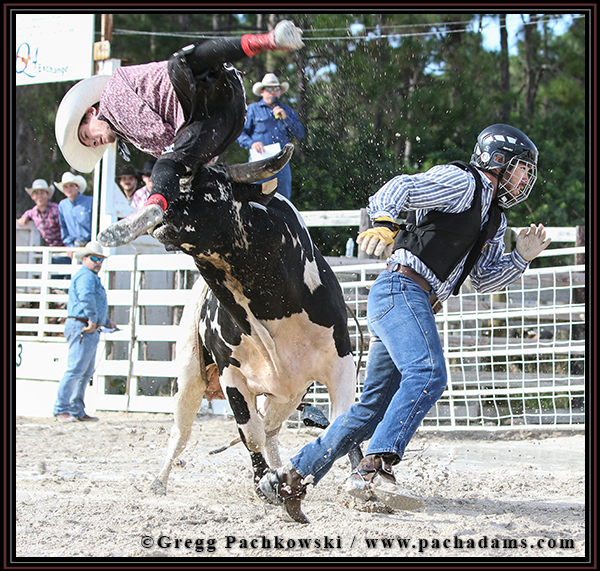 Bull Y-4 sends bull fighter Nathan Smith, of LaBelle, flying as rider Harley Howell runs to safety after being thrown.